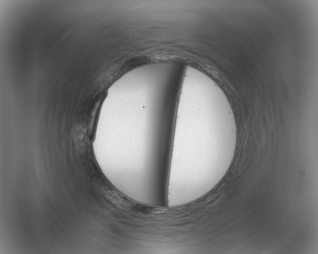 X0000061120521200512022156