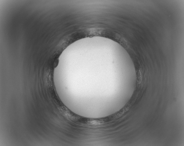 X0000061120522200512022156