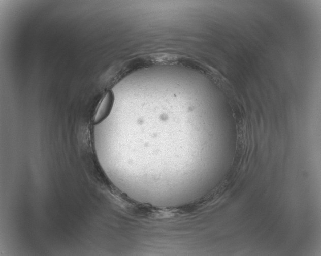 X0000061120523200512022156