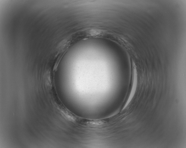 X0000061120524200512022156