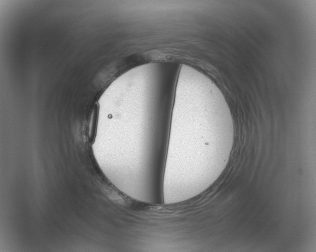 X0000061120525200512022156