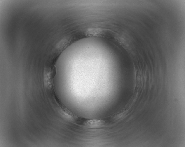 X0000061120526200512022156