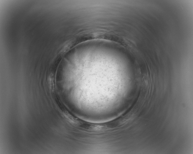 X0000061120527200512022156