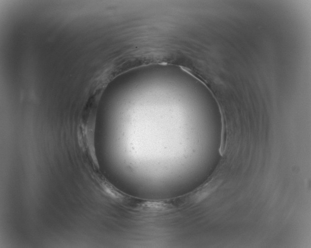 X0000061120528200512022156