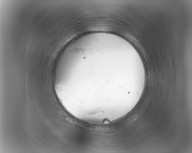 X0000061120529200512022155