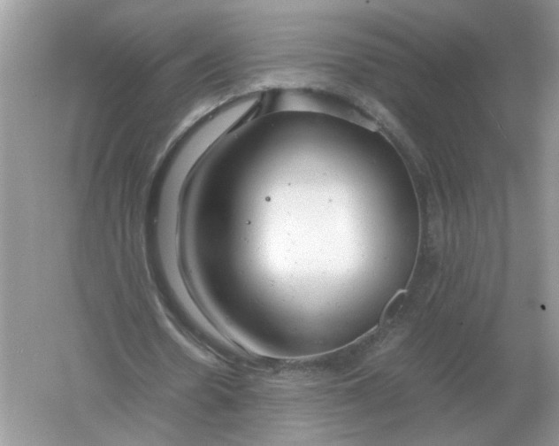 X0000061120530200512022155