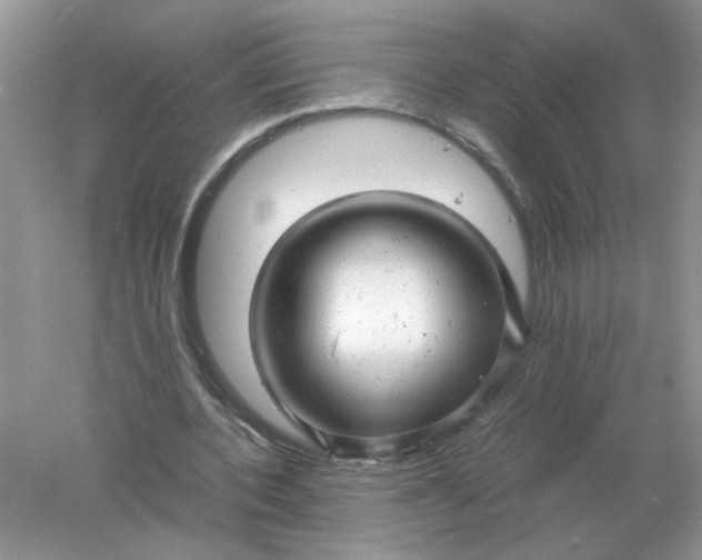 X0000061120532200512022155