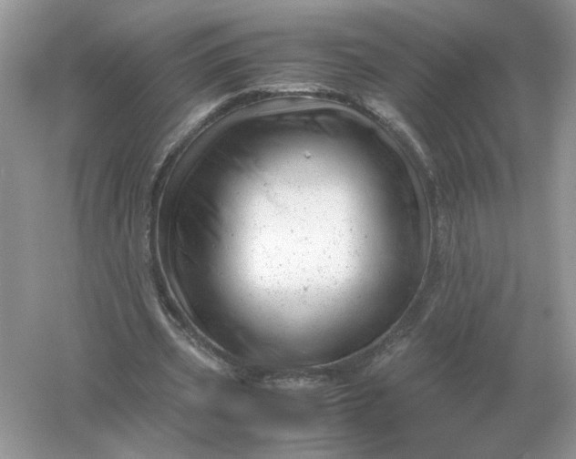 X0000061120533200512022155