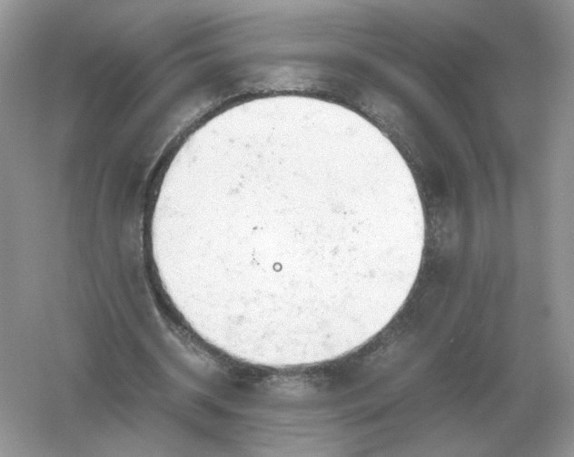 X0000061120534200512022155