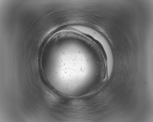 X0000061120535200512022155