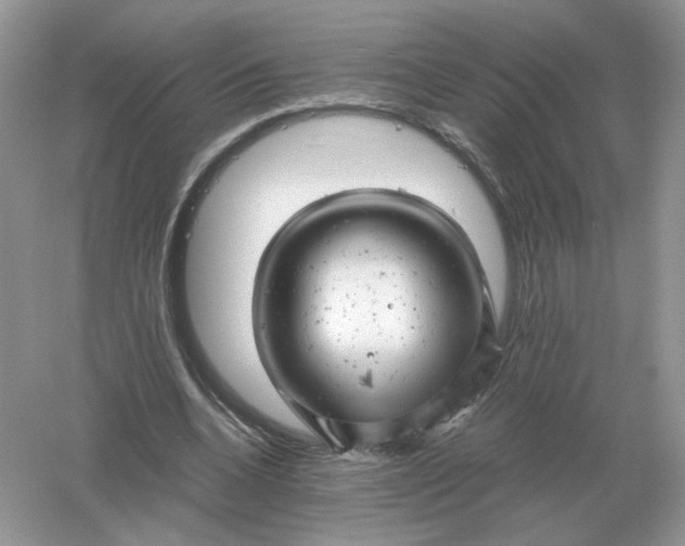 X0000061120536200512022155