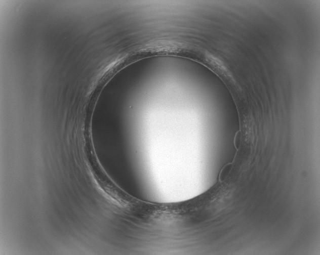 X0000061120538200512022155