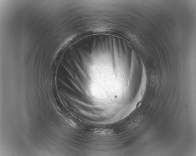 X0000061120539200512022155