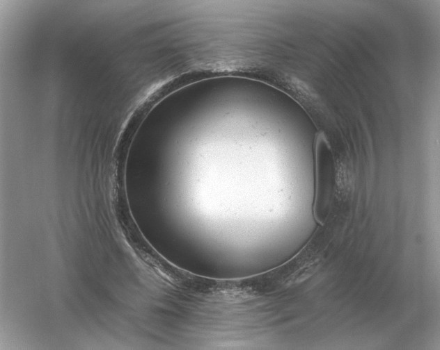 X0000061120540200512022155