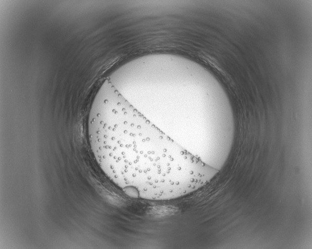 X0000061120541200512022155