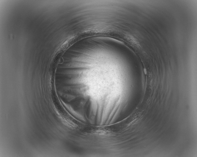 X0000061120542200512022155