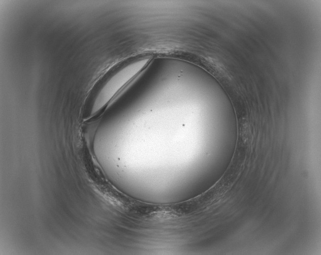 X0000061120544200512022155