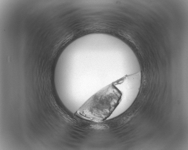 X0000061120545200512022155