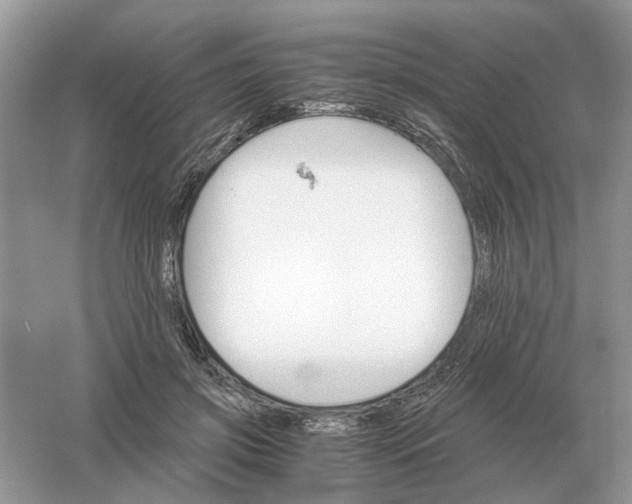 X0000061120549200512022155