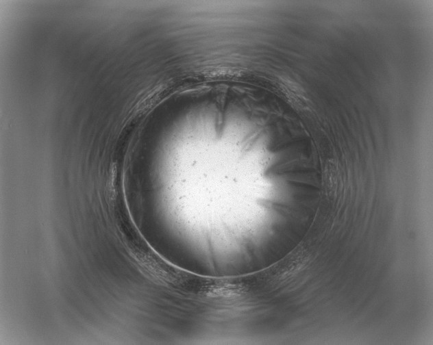 X0000061120550200512022155