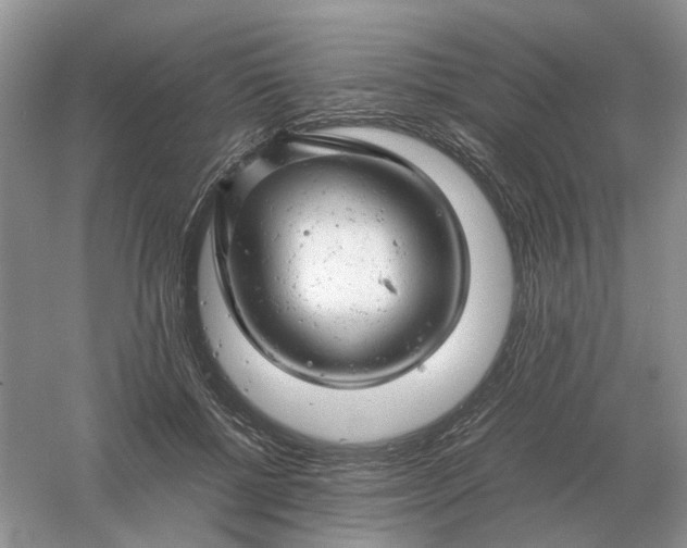 X0000061120552200512022155