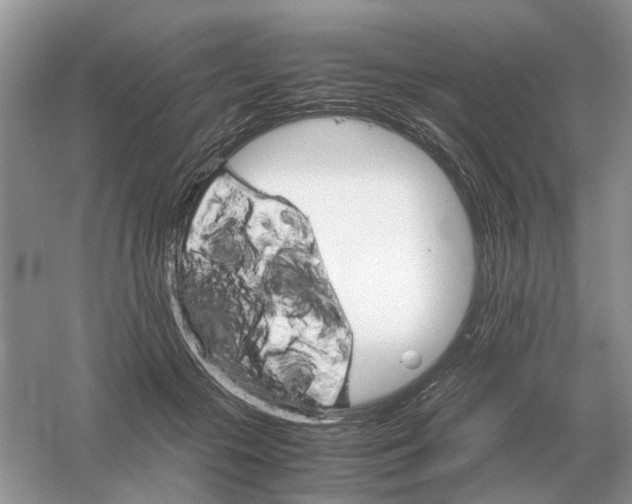 X0000061120553200512022155