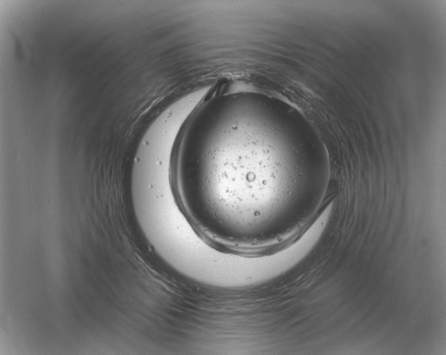 X0000061120556200512022155