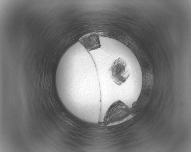 X0000061120557200512022155