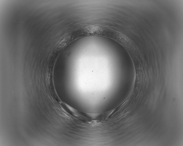 X0000061120558200512022155