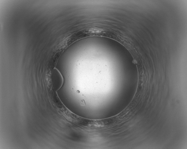 X0000061120559200512022155