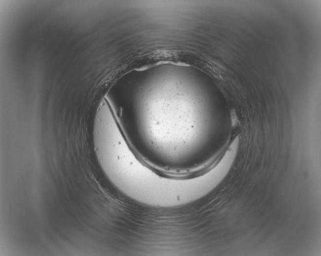 X0000061120560200512022155