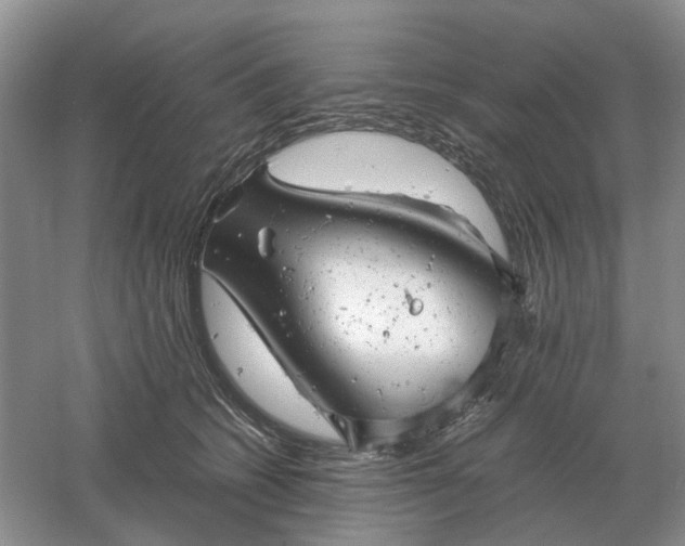 X0000061120562200512022155