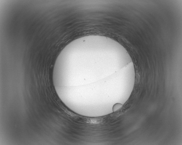 X0000061120565200512022155