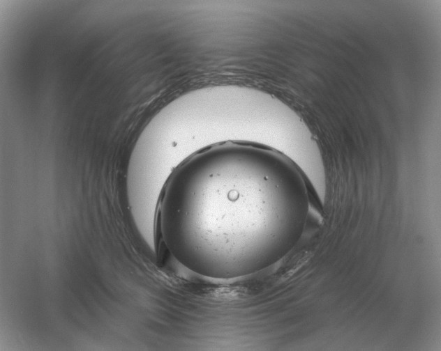 X0000061120566200512022155