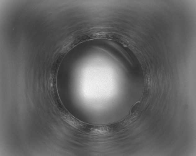 X0000061120567200512022155