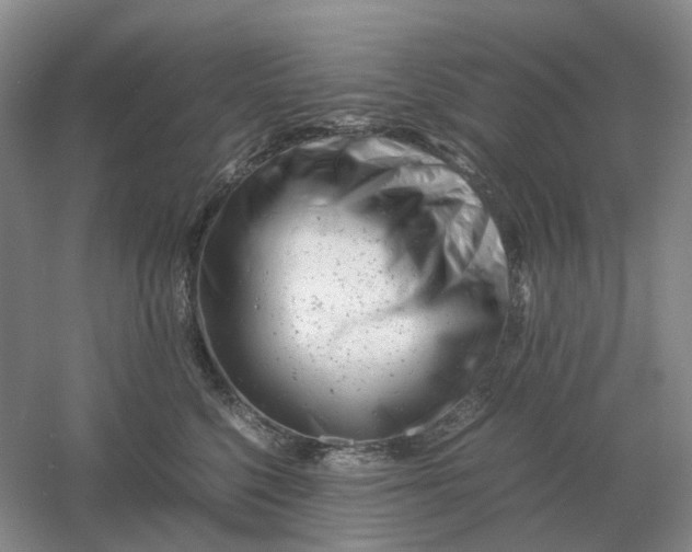 X0000061120568200512022156