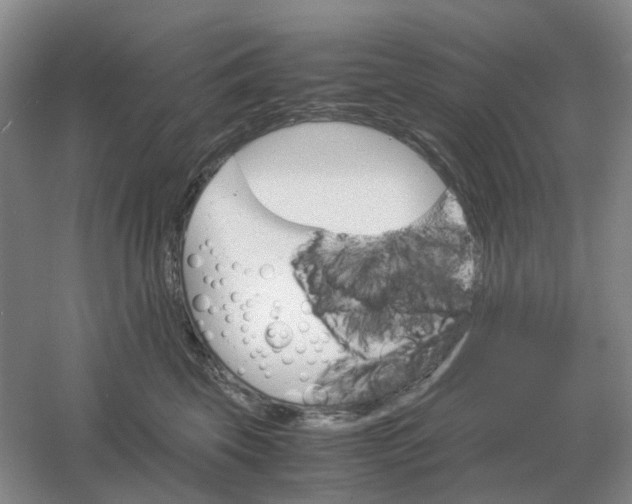 X0000061120569200512022156