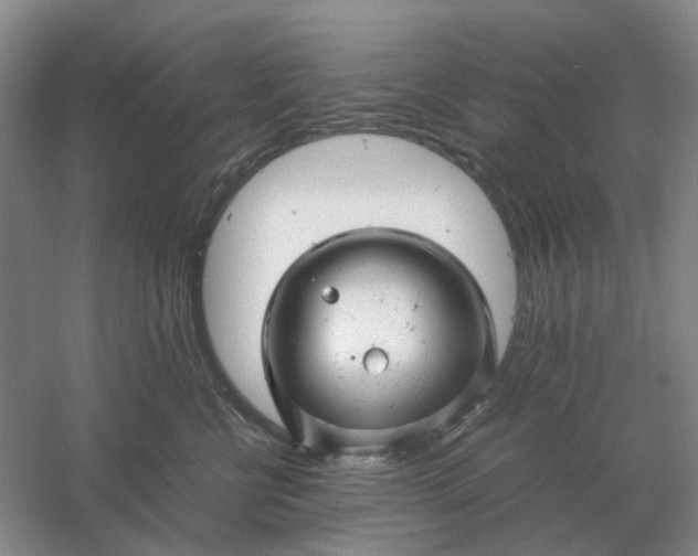 X0000061120570200512022156