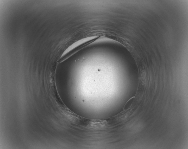 X0000061120571200512022156