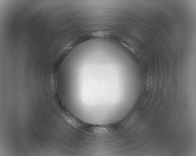 X0000061120572200512022156