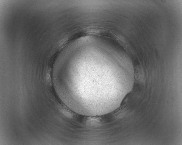 X0000061120573200512022156