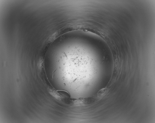 X0000061120574200512022156