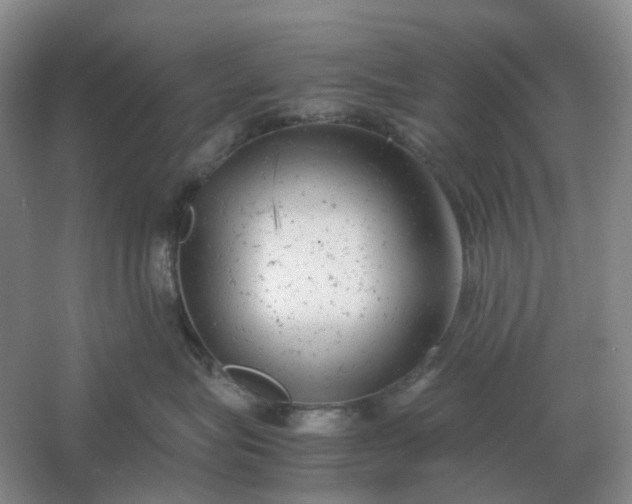 X0000061120575200512022156