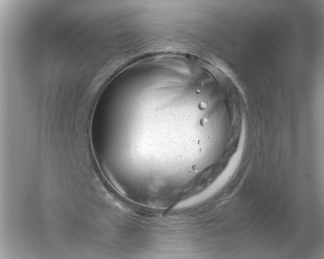 X0000061120577200512022155