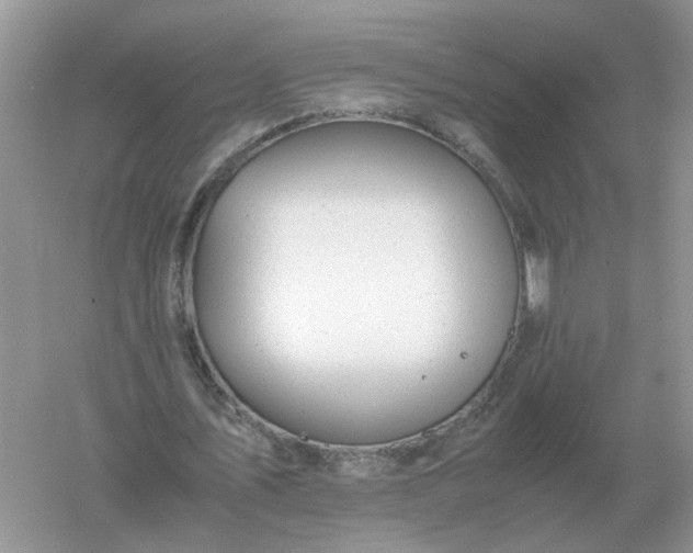 X0000061120579200512022155