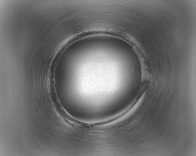 X0000061120580200512022155