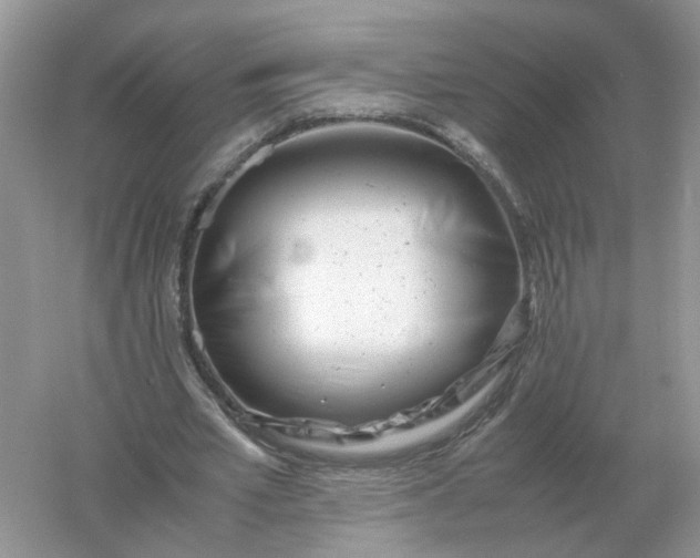 X0000061120581200512022155