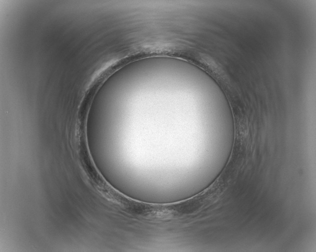 X0000061120583200512022155