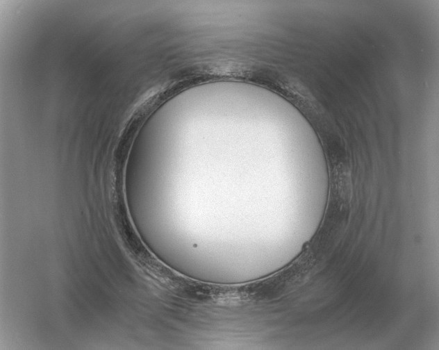 X0000061120587200512022155