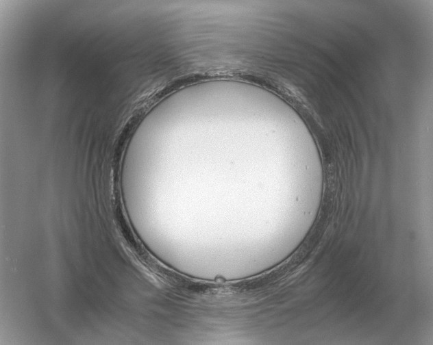 X0000061120589200512022154